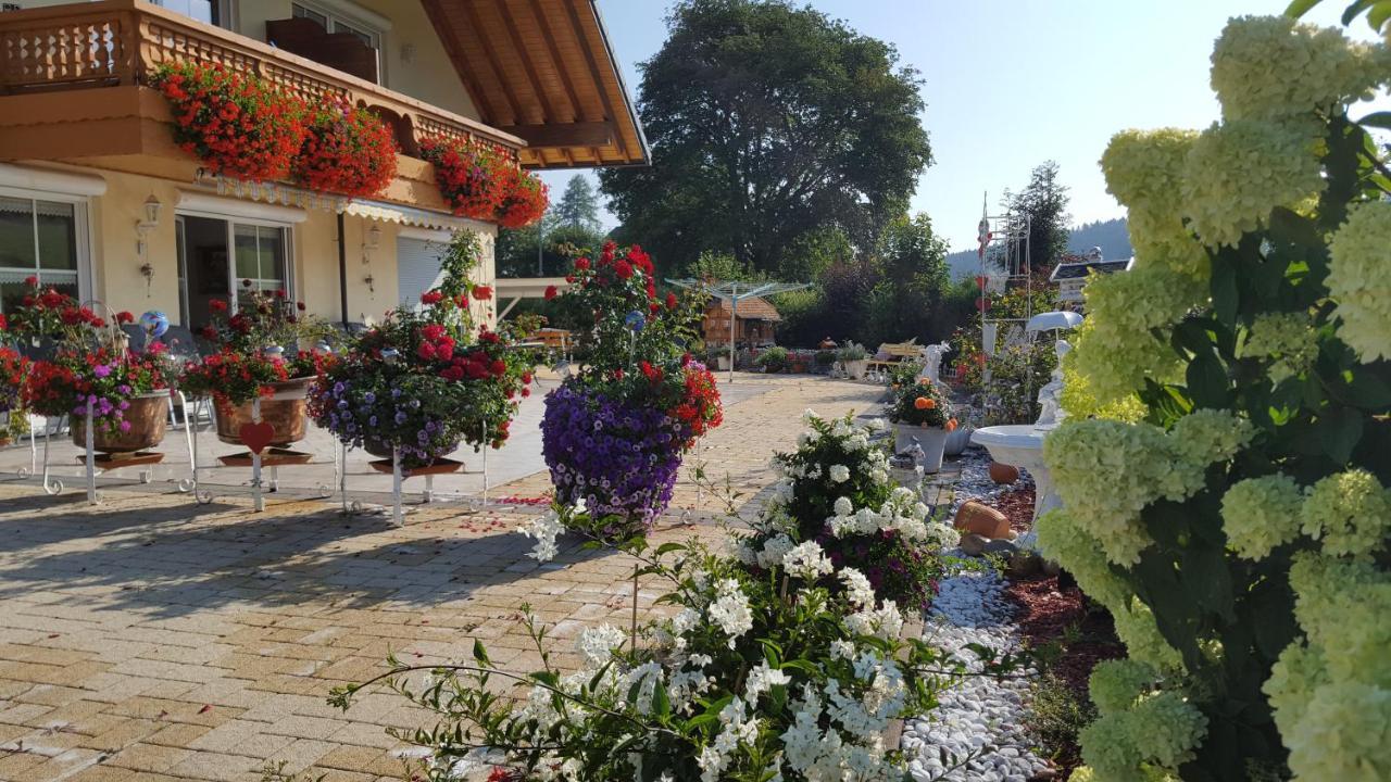 Appartement Rehblick Eisenbach  Extérieur photo