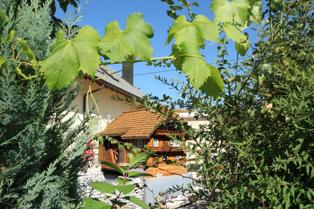 Appartement Rehblick Eisenbach  Extérieur photo